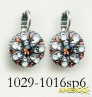 1029-1016-SP6