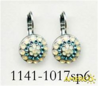 1141-1017-SP6