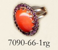 7090-66-1-RG