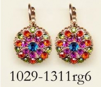 1029-1311-RG6