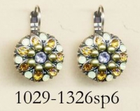 1029-1326-SP6