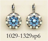 1029-1329-SP6