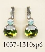 1037-1310-SP6