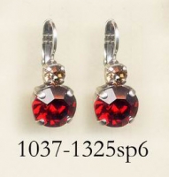 1037-1325-SP6
