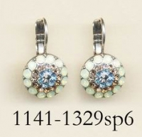 1141-1329-SP6