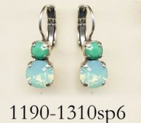 1190-1310-SP6