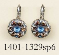 1401-1329-SP6