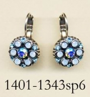 1401-1343-SP6