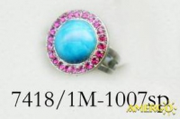 7418-1M-1007-SP