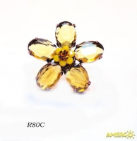 R80C